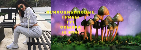 героин Белокуриха